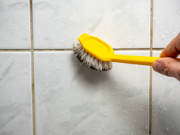 Best Mold Testing and Inspection Services in Dryden, MI