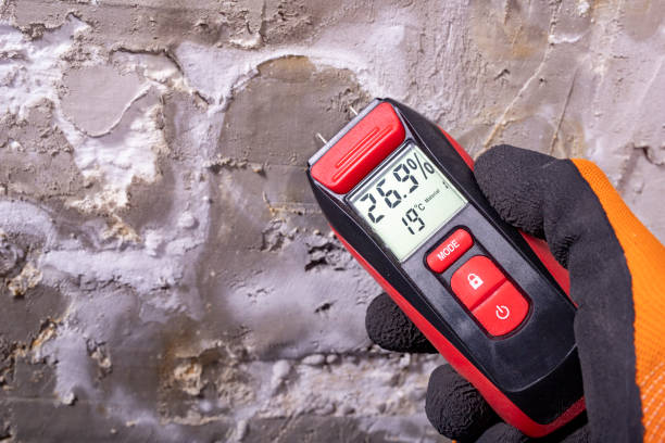 Best Insurance-Related Mold Remediation in Dryden, MI
